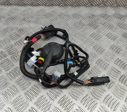 Tesla Model Y Other wiring loom 248905004C