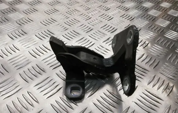 BMW X5M F85 Rear door lower hinge 7352697