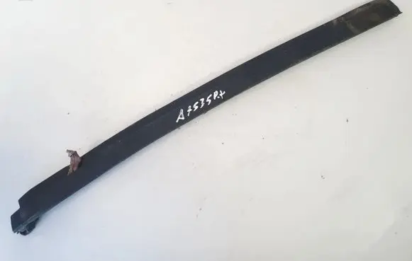 Toyota RAV 4 (XA20) Front door glass trim molding 