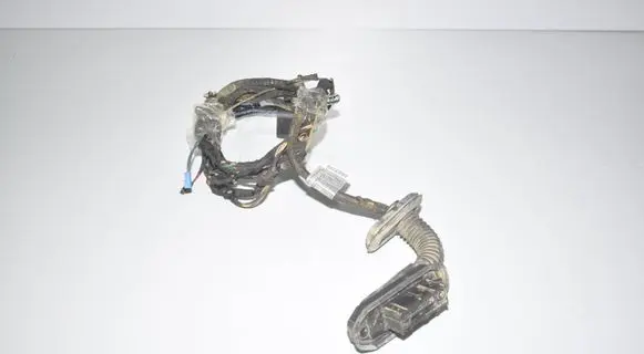 Front door wiring loom