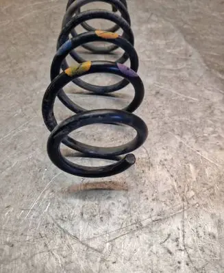 Rear coil spring