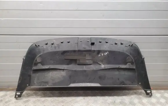 Engine bonnet/hood lock trim molding