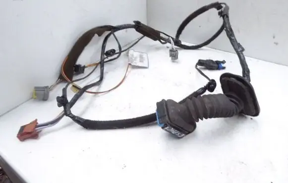 Renault Espace - Grand espace IV Front door wiring loom/harness boot 8200318061