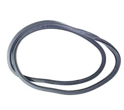 Ford Edge II Front door rubber seal 