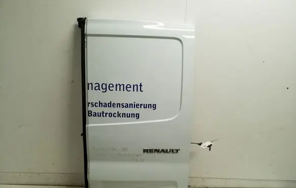 Renault Trafic III (X82) Back/rear loading door 901004936R