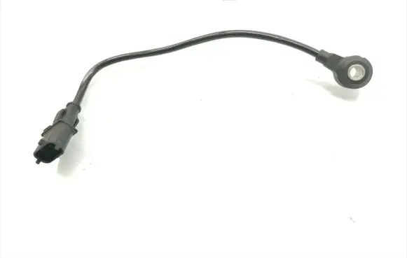 Opel Vectra C Detonation knock sensor 24456516