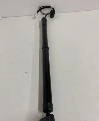 Infiniti QX70 S51 Tailgate/trunk strut/damper 905603FY0B