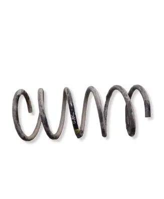 Hyundai Terracan Rear coil spring 