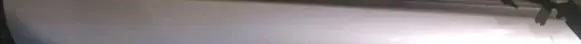 Citroen C3 Front door glass trim molding 
