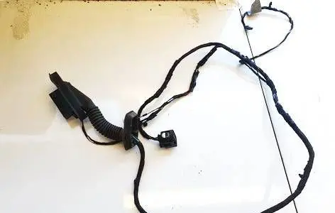 Other wiring loom