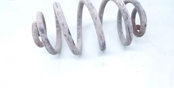 Volkswagen PASSAT B5.5 Rear coil spring