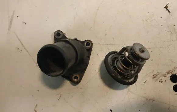 Thermostat/thermostat housing