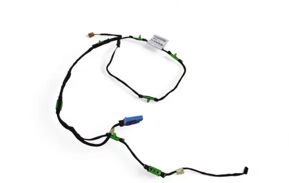 Front door wiring loom