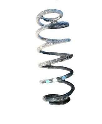 Toyota Auris 150 Rear coil spring NOCODE