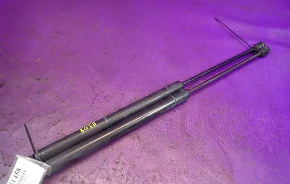 Tailgate strut
