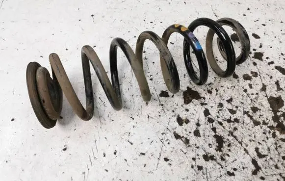 Volkswagen PASSAT B6 Rear coil spring