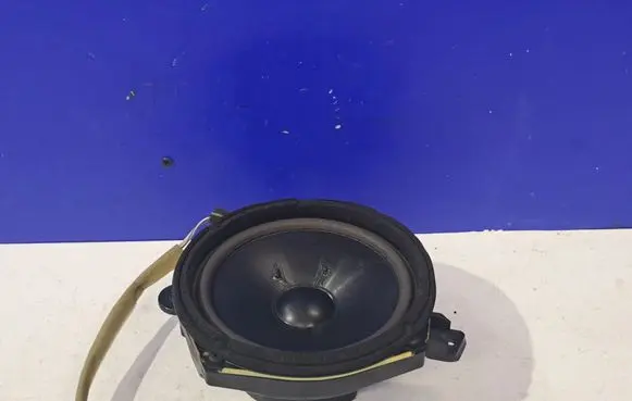 Front door speaker