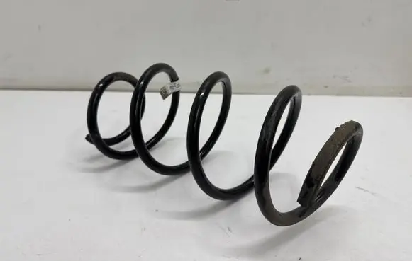 BMW X3 G01 Front coil spring 6884930