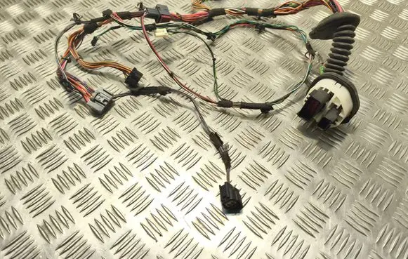 Chrysler Pacifica Front door wiring loom 
