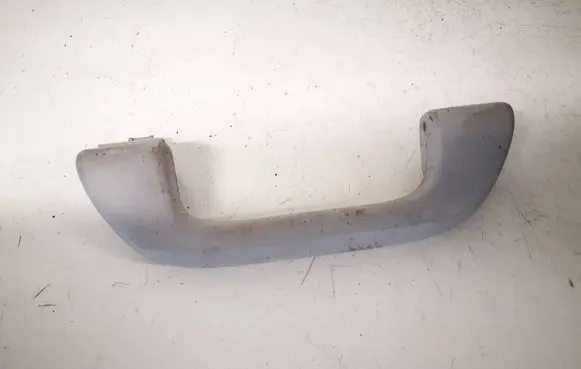 Front interior roof grab handle