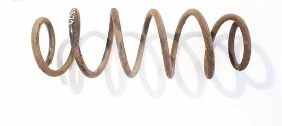 Rear coil spring