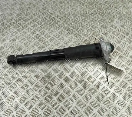 Audi Q4 Sportback e-tron Rear shock absorber/damper 1EA512013BC