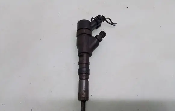 Peugeot 206 Fuel injector 9641742880