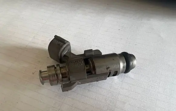 Citroen C3 Fuel injector 0334