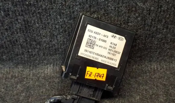 Hyundai Santa Fe Other control units/modules 92170S1000