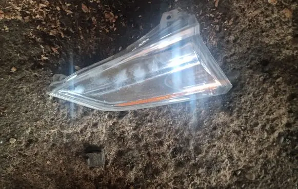 Nissan Leaf I (ZE0) Front indicator light