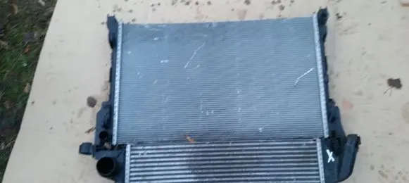 Renault Trafic II (X83) Radiator set 959470139