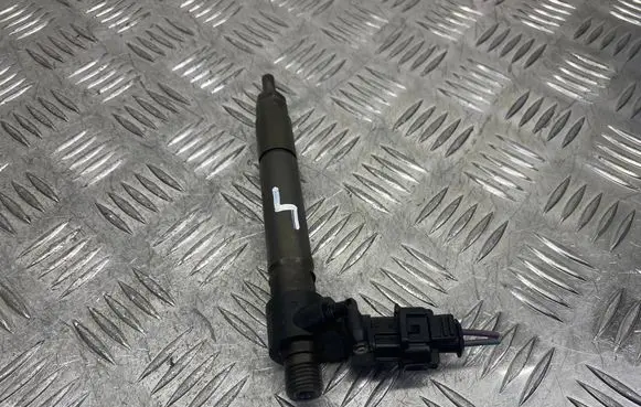 Land Rover Evoque I Fuel injector 9687454480 120413