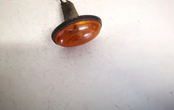 Chrysler Grand Voyager IV Front fender indicator light