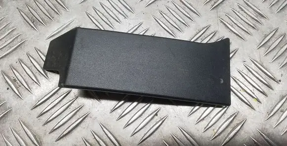 Rear/tail light trim molding