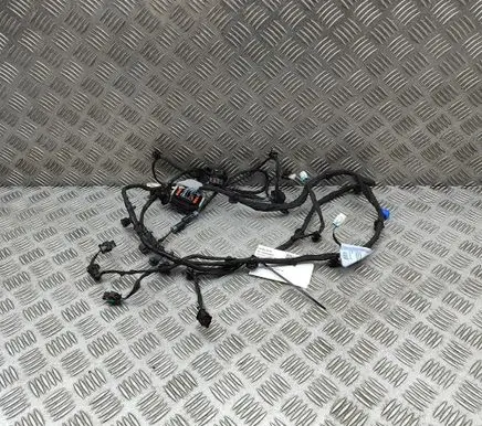 Polestar 2 Parking sensor (PDC) wiring loom 80010146 6608005708