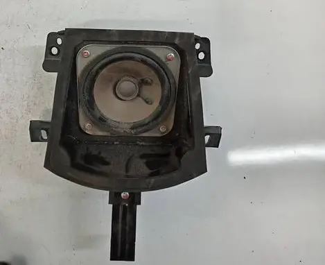 Opel Antara Front door speaker 96673597