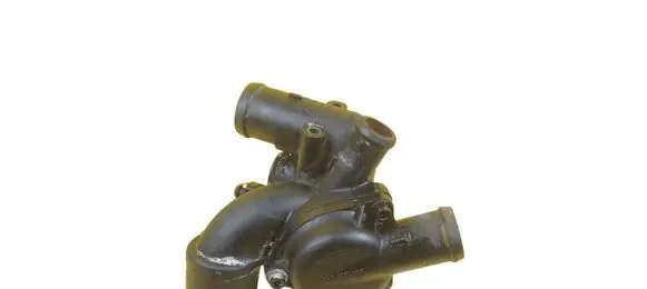 Volkswagen Touareg I Thermostat/thermostat housing 022121121D BMV