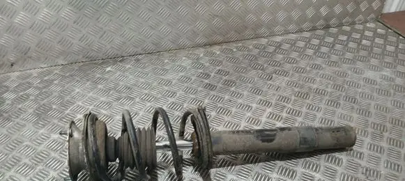 Front shock absorber with coil spring