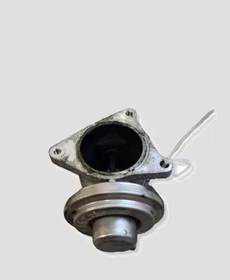 Volkswagen Touran I EGR valve 749603D 290712097