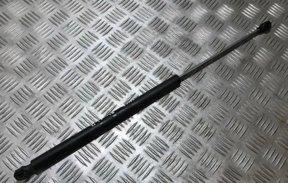 Tailgate/trunk strut/damper