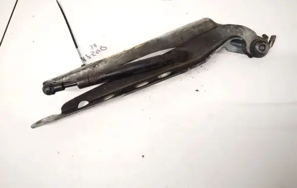 Tailgate/trunk/boot hinge