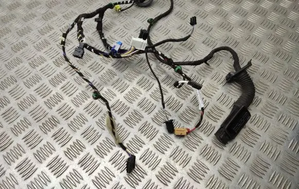 Volkswagen T-Roc Front door wiring loom 2GA971121AN