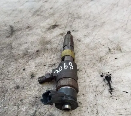 Citroen C3 Fuel injector 0445110340