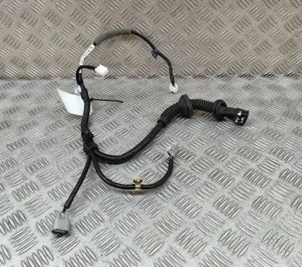 Other wiring loom