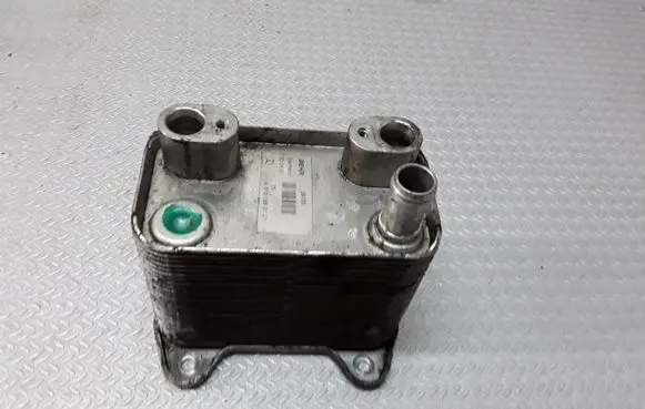 Mercedes-Benz S W220 Oil filter mounting bracket A6131880101