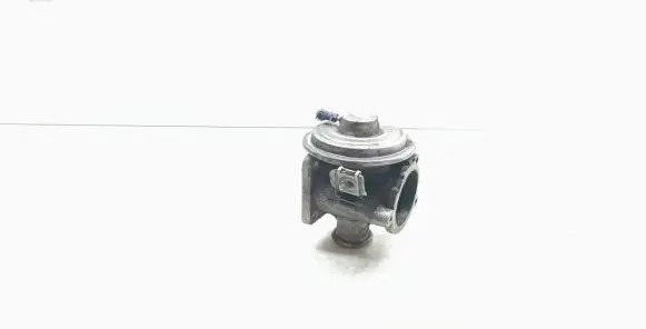 EGR valve