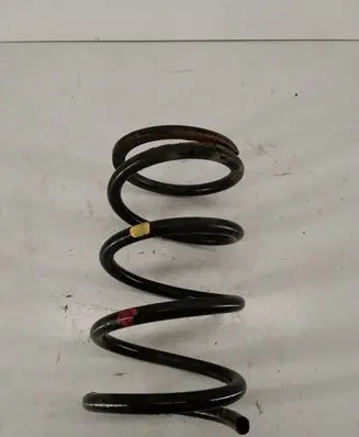 Toyota RAV 4 (XA20) Rear coil spring