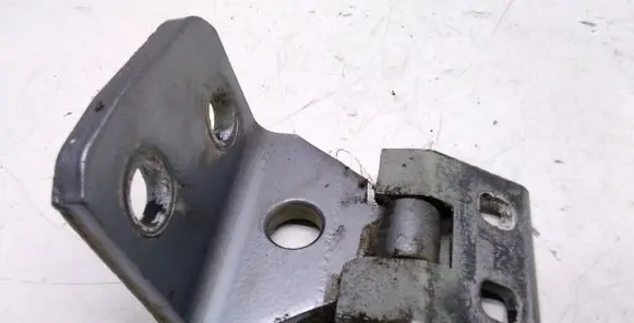 BMW X3 E83 Rear door lower hinge 3402822