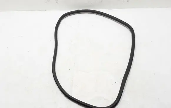 Renault Laguna III Rear door rubber seal (on body) 769240001R