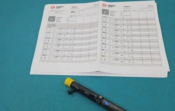 Renault Clio III Fuel injector EJBR05102D IMPRK1528463